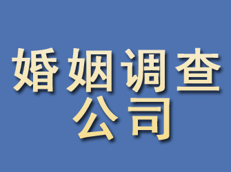 法库婚姻调查公司